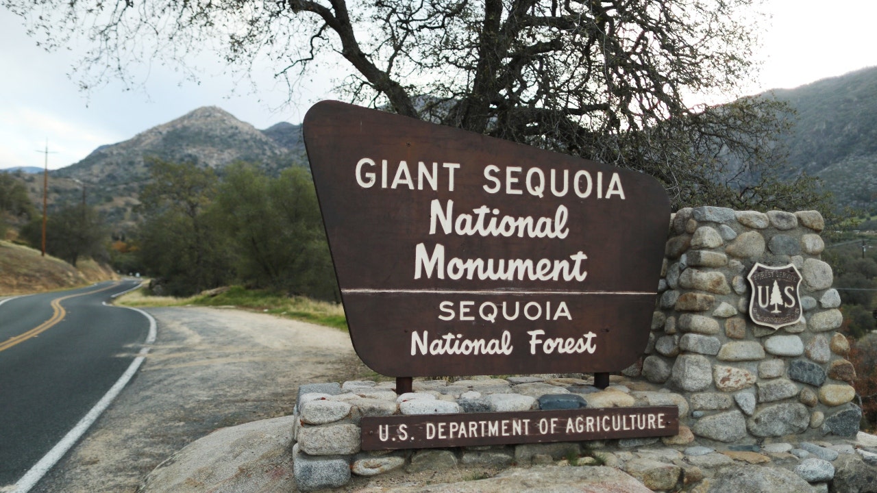 Rangers From The California National Park Service Search Sequoia National Park For A Man Carrying A Knife