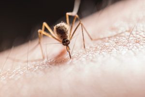 colorado-records-first-human-case-west-nile-virus