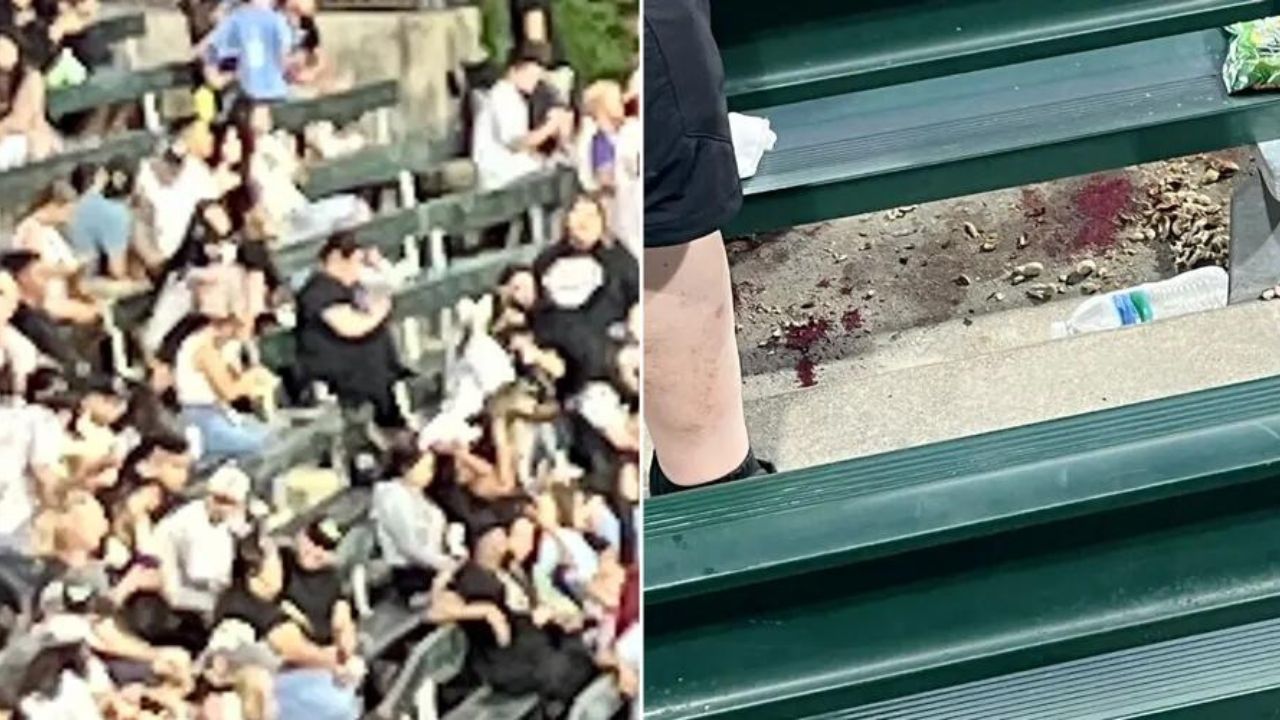During A Game, Two Women Were Hurt In A "Shooting Incident" At The White Sox Ballpark
