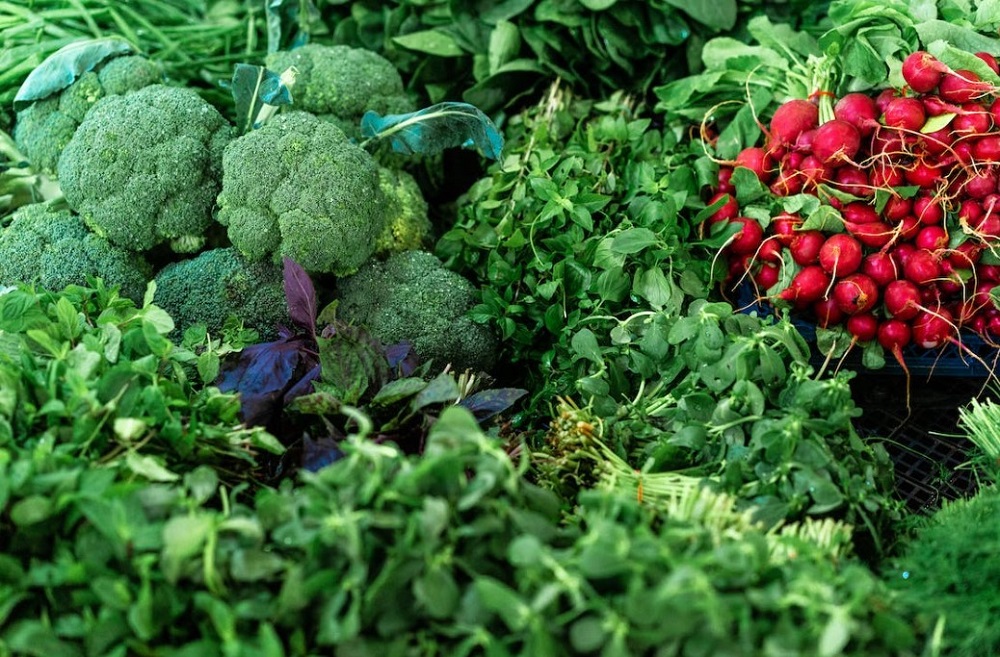 Study Discovers Lung Health Benefits of Vitamin K in This Vegetable
